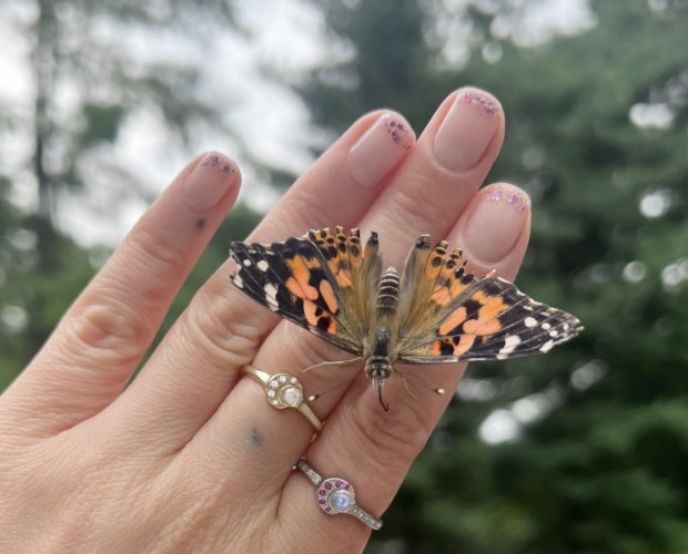 Wearing the Moon and Sun Ring with a butterfly on the hand