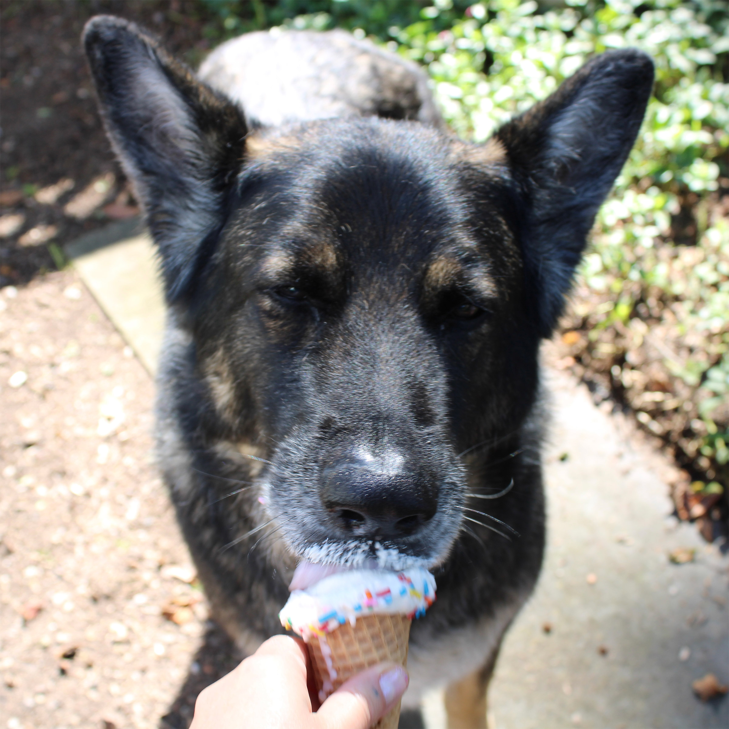 ice-cream-cone-charm