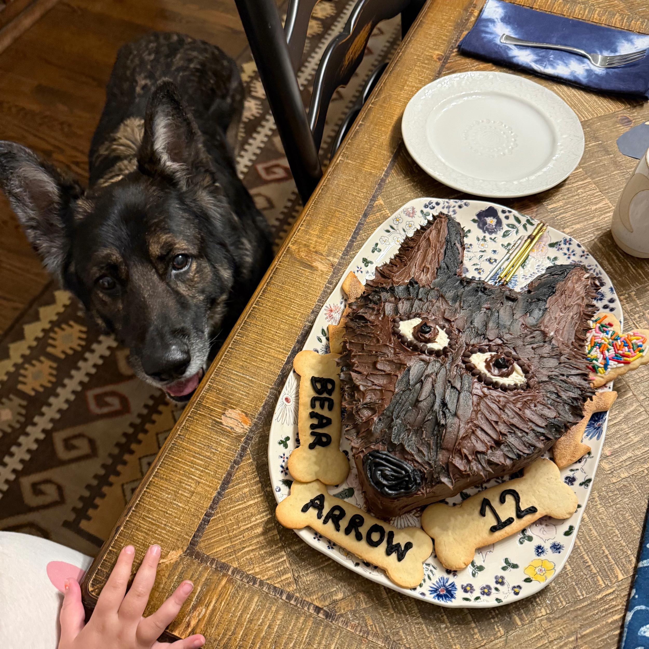 Facetune_20-11-2025-19-10-35